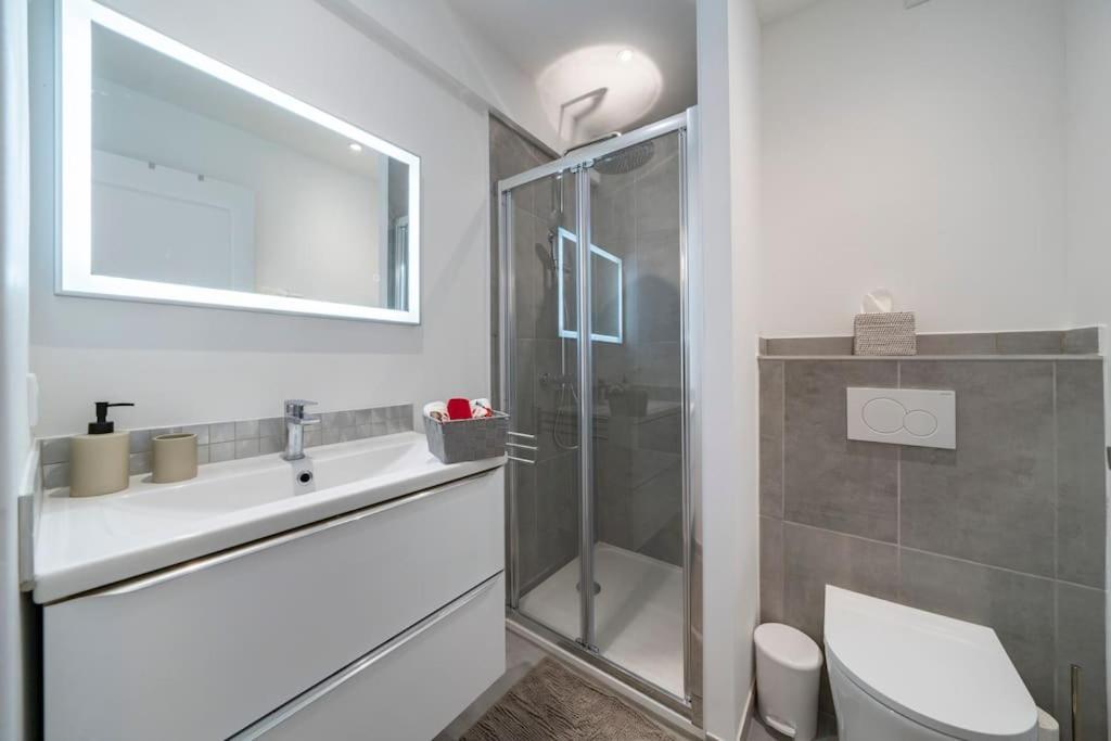 Superbe Renove Apartment Cannes